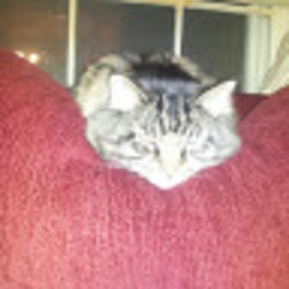 Meet your Posher, Aimee - Picture 1 of 1